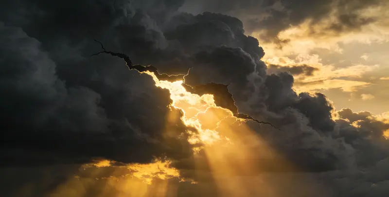 大同肺癌12基因ctDNA突变检测(血液）图片1