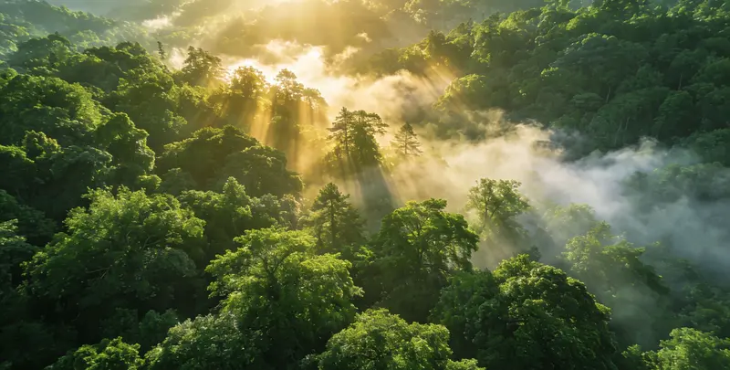 大同肺癌（EGFR T790M)突变检测图片1